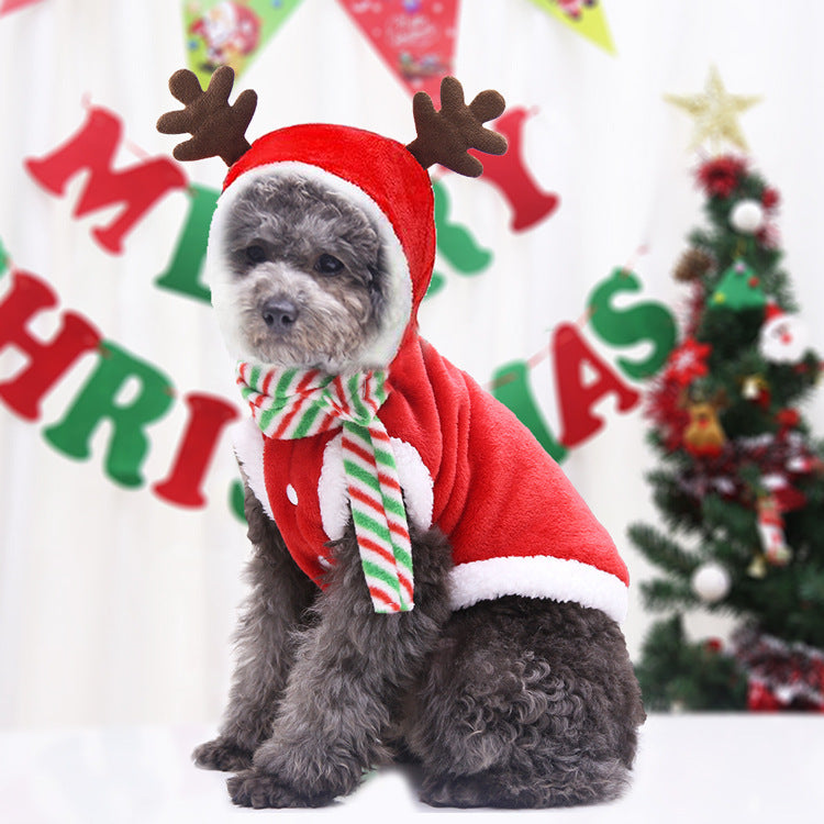 Festive Dog Christmas Outfit - Cute Holiday Pet Clothes For Pups
