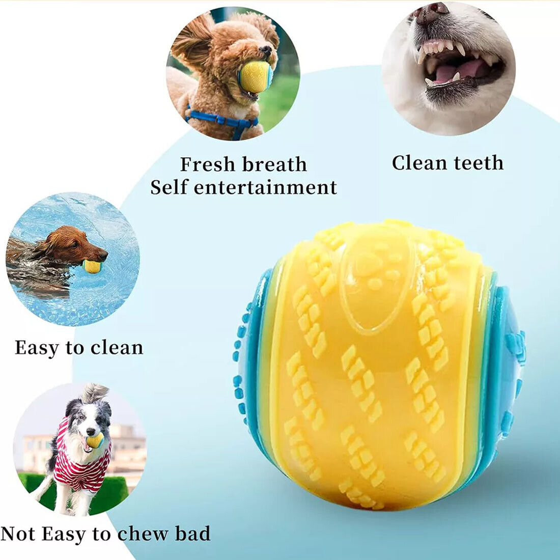 Scooby-Doo Durable Squeaky Set Of 8 - Interactive Teeth Cleaning Toys for Dogs UK