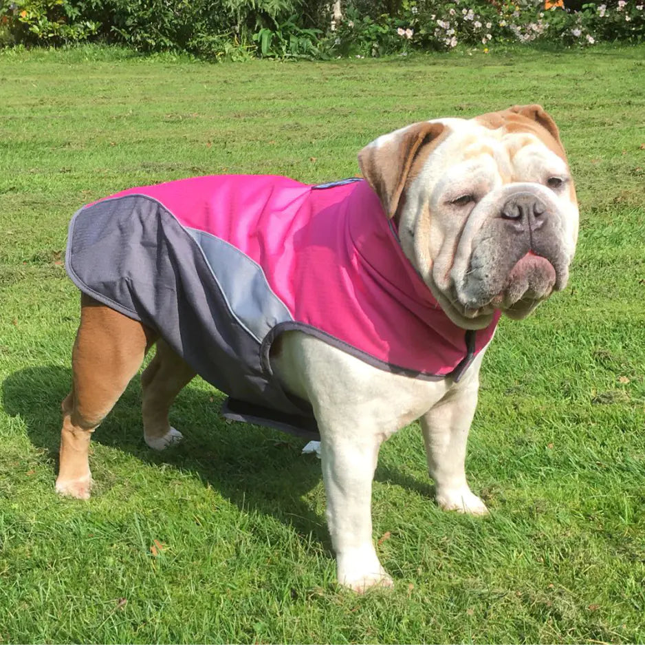 Waterproof Dog Raincoat with Fleece Lining – Reflective & Warm Winter Jacket