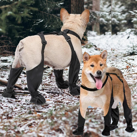 Anti-Slip Dog Rain Boots with Suspenders - Waterproof Paw Protectors