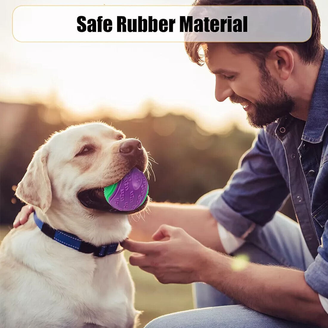 Scooby-Doo Durable Squeaky Set Of 8 - Interactive Teeth Cleaning Toys for Dogs UK