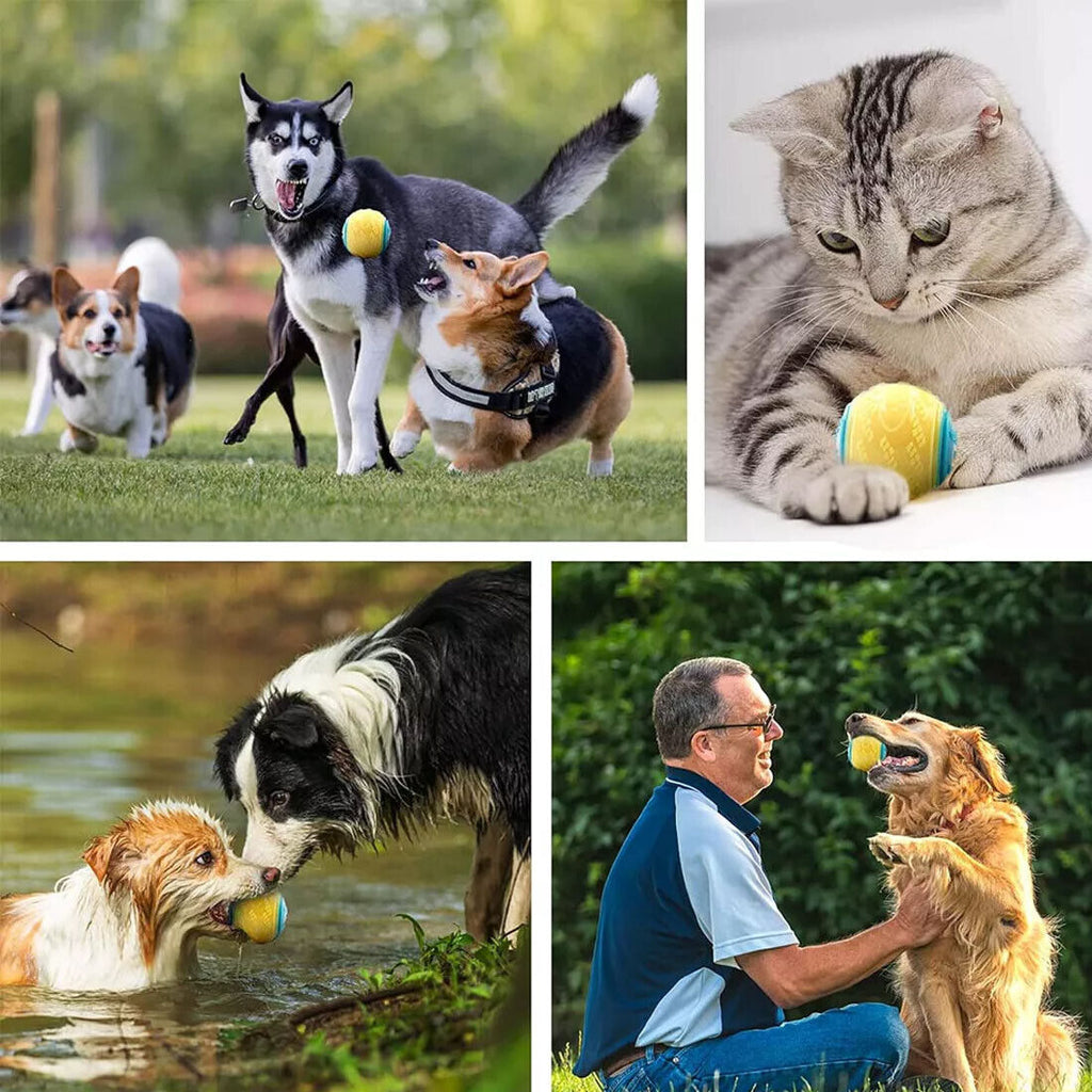 Scooby-Doo Durable Squeaky Set Of 8 - Interactive Teeth Cleaning Toys for Dogs UK