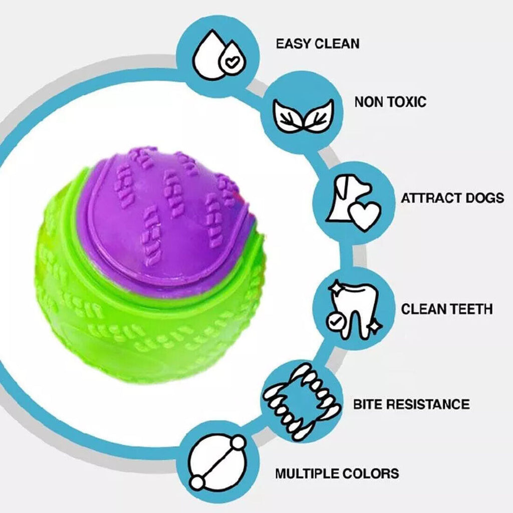 Scooby-Doo Durable Squeaky Set Of 8 - Interactive Teeth Cleaning Toys for Dogs UK