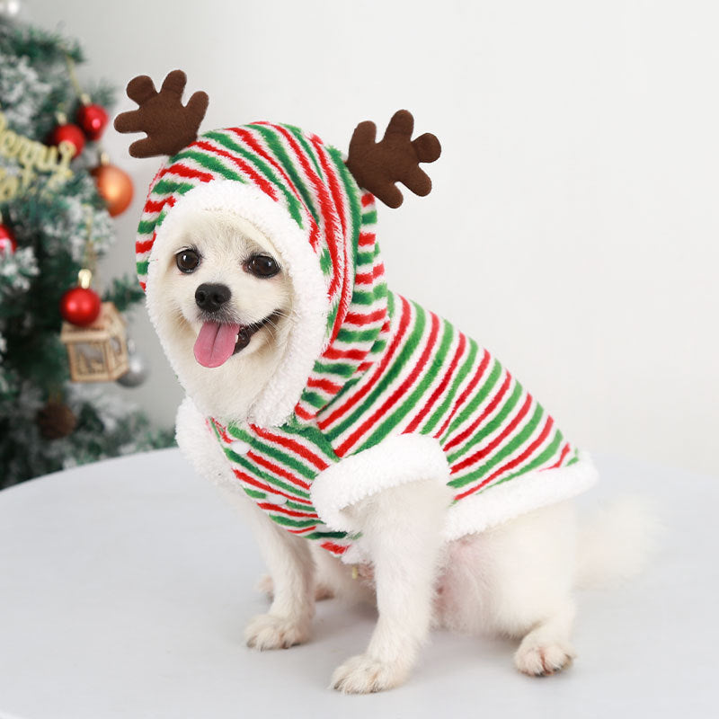 Festive Dog Christmas Outfit - Cute Holiday Pet Clothes For Pups